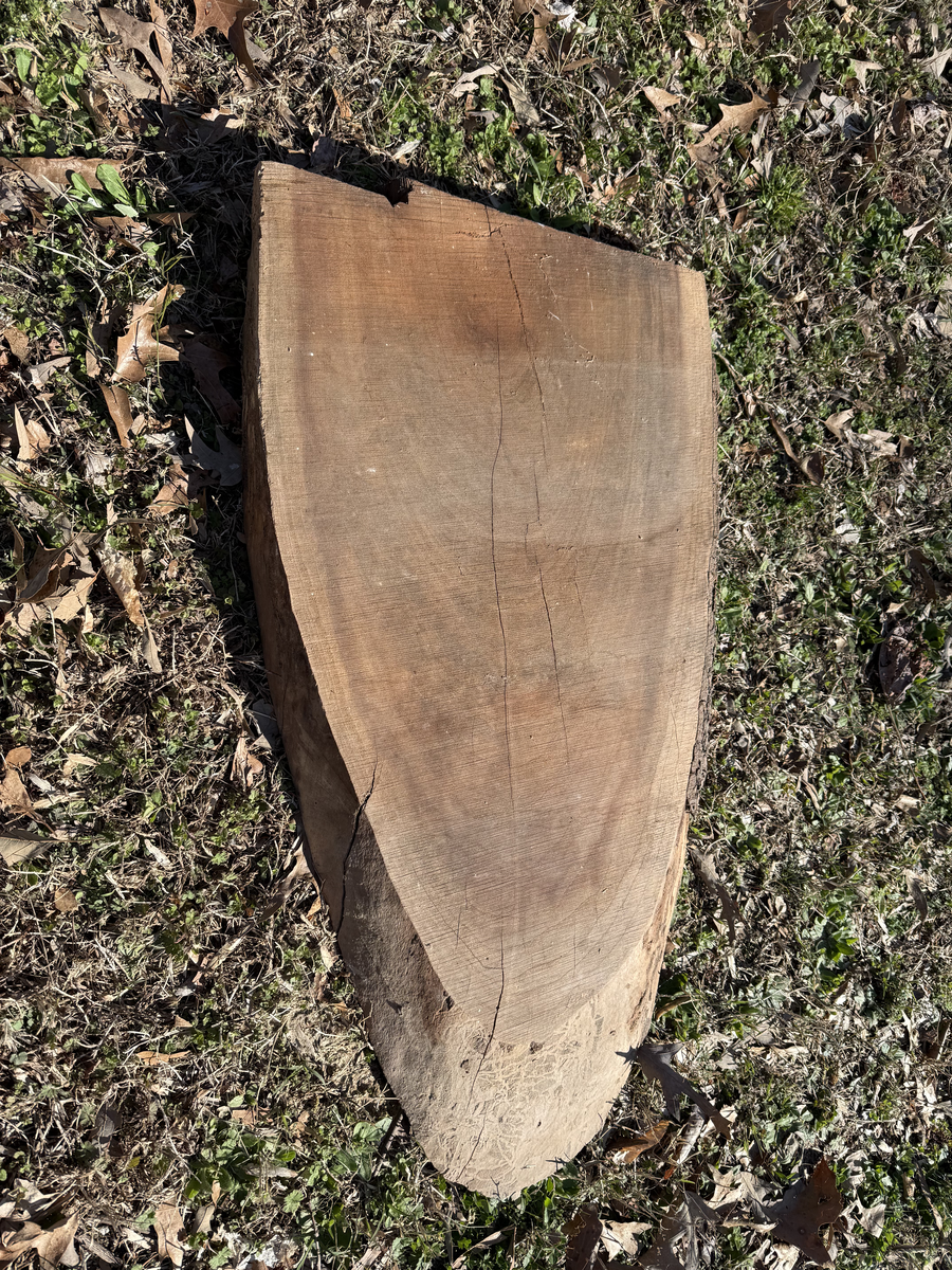 Natural wood round cross-section showing end grain pattern
